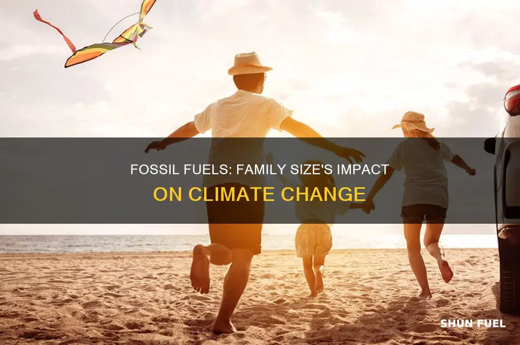 is fossil fuel related to family size