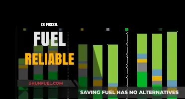 Fossil Fuels: Reliable or Risky Business?