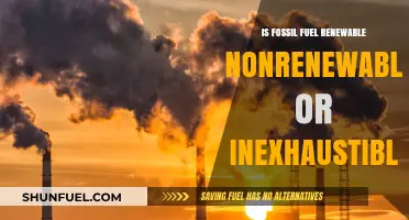 Fossil Fuels: Non-Renewable Energy Sources