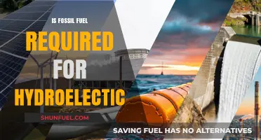 Fossil Fuels and Hydroelectric Power: An Unlikely Partnership?