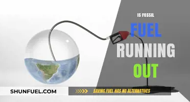The Fossil Fuel Countdown: What's Next?