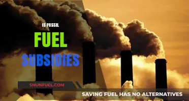 Fossil Fuel Subsidies: A Costly and Harmful Practice