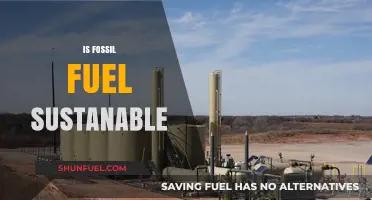 Fossil Fuels: Sustainable or Not?