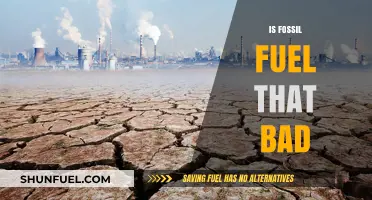Fossil Fuels: Friend or Foe?