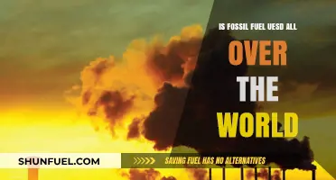 Fossil Fuel: A Global Addiction