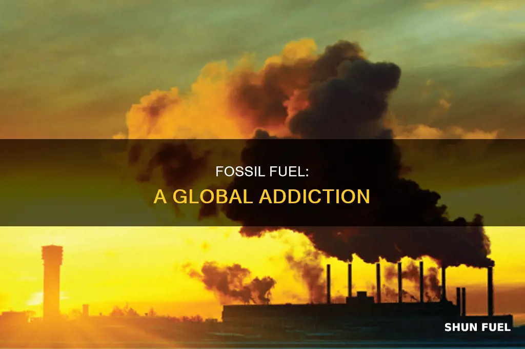 is fossil fuel uesd all over the world