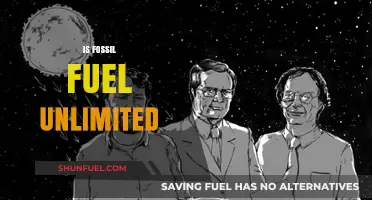 Fossil Fuels: Finite Resources, Infinite Problems