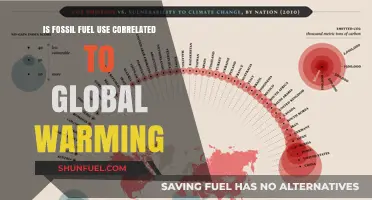 Fossil Fuels: Global Warming's Main Culprit?