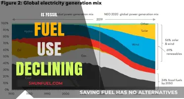 The Fossil Fuel Era: Is It Ending?