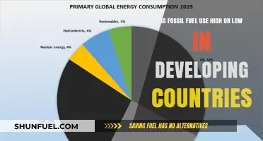 Developing Countries' Fossil Fuel Usage Trends