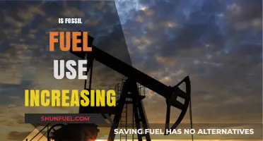 Fossil Fuel Consumption Trends: Rising or Declining in the Modern Era?