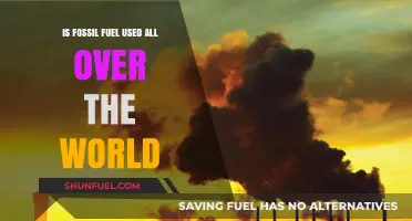 Fossil Fuel's Global Reach and Impact