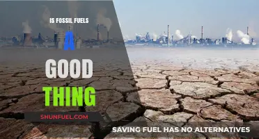 Fossil Fuels: Boon or Bane?