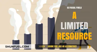 Fossil Fuels: Finite Resources, Infinite Problems
