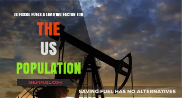 Fossil Fuels: America's Population Limiters?