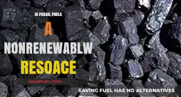 Fossil Fuels: Our Non-Renewable Future?