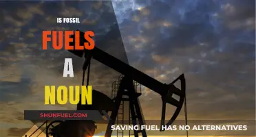 Fossil Fuels: Noun or Not?