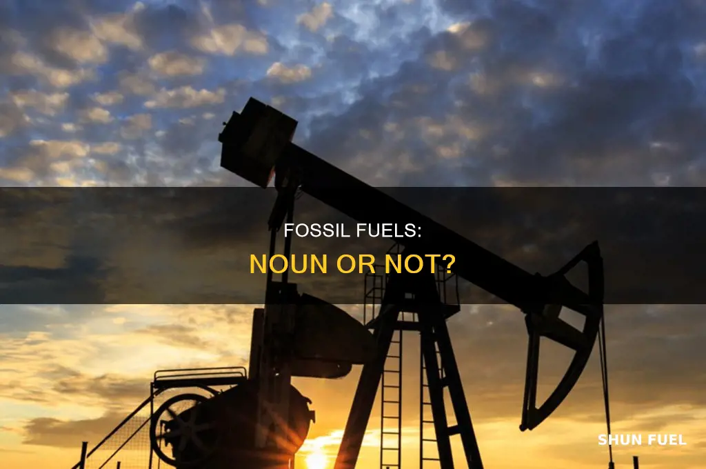 is fossil fuels a noun