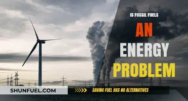 Fossil Fuels: Energy Crisis or Opportunity?