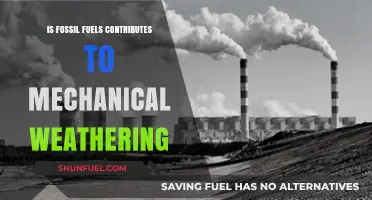 Fossil Fuels: Mechanical Weathering Culprits