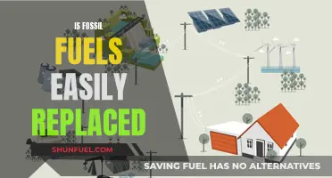 The Fossil Fuel Conundrum: Easy Alternatives?