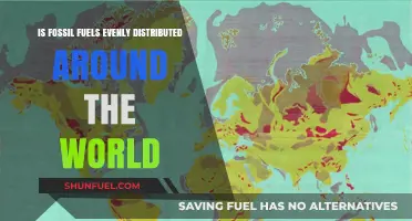 Fossil Fuel Distribution: An Unequal Global Landscape