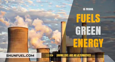 Fossil Fuels: Green Energy or Environmental Disaster?