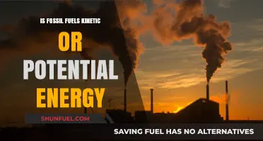 Fossil Fuels: Energy Stored and Released