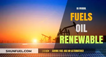 Fossil Fuels: Are Oil Sources Renewable?