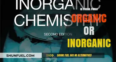 Fossil Fuels: Organic or Inorganic?