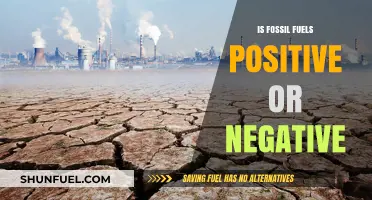 Fossil Fuels: Bane or Boon?