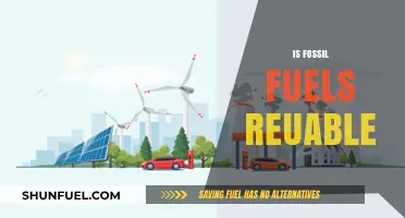Fossil Fuels: Are They Truly Renewable?