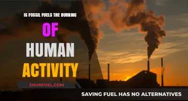 Fossil Fuels: Burning Our Future?