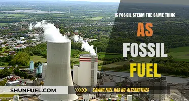 Steam Power: Fossil Fuel's Forgotten Cousin