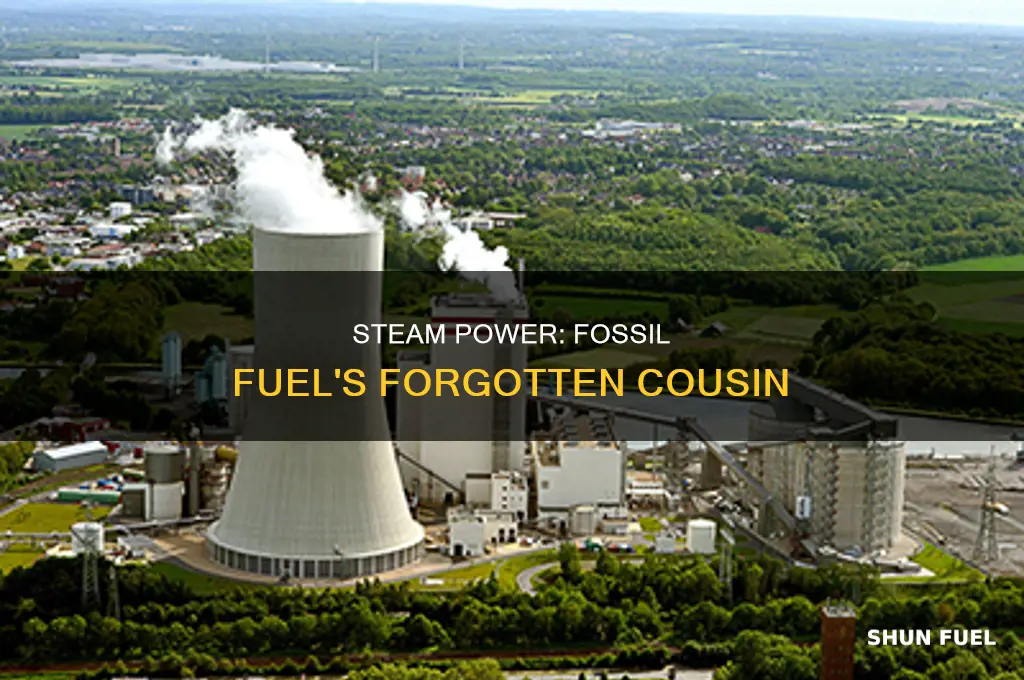 is fossil steam the same thing as fossil fuel