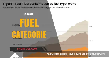 Understanding Fossil Fuel Categories: Types, Uses, and Environmental Impact