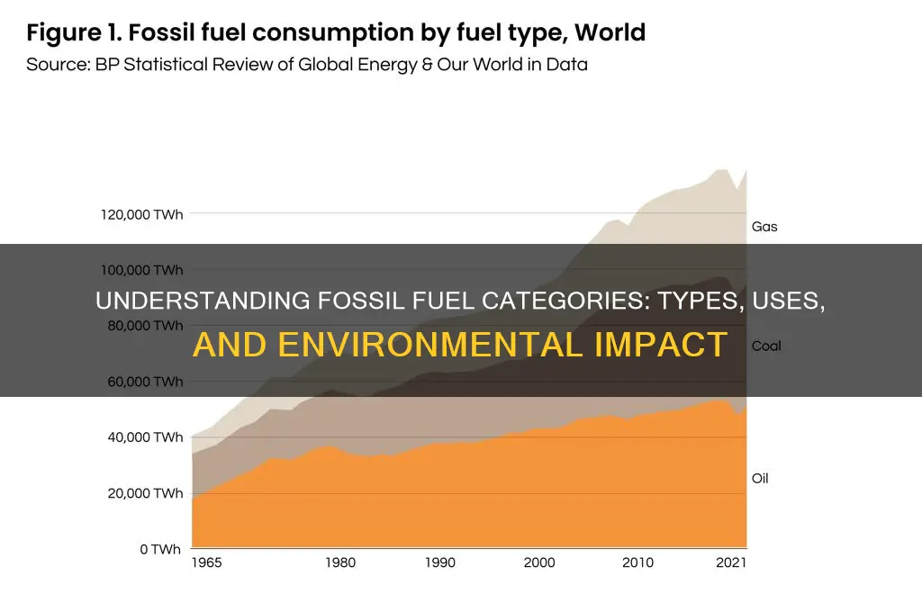 is fostil fuel categorie