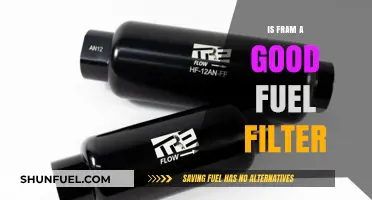 Fram Fuel Filters: Are They Worth the Hype?