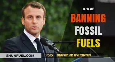 France's Fossil Fuel Ban: What's Next?