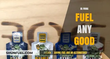 Is Frog Fuel Worth It? A Comprehensive Review and Analysis
