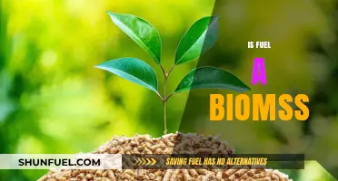 Is Fuel a Biomass? Exploring Renewable Energy Sources and Sustainability