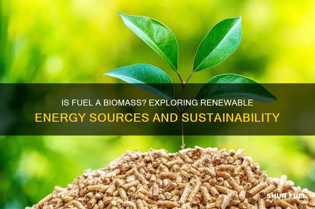 is fuel a biomss