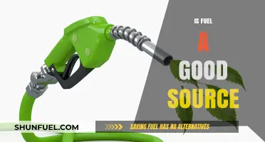 Is Fuel a Sustainable and Efficient Energy Source for the Future?