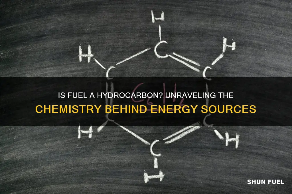 is fuel a hydrocarbon
