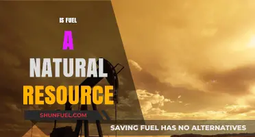 Is Fuel a Natural Resource? Exploring Origins and Sustainability