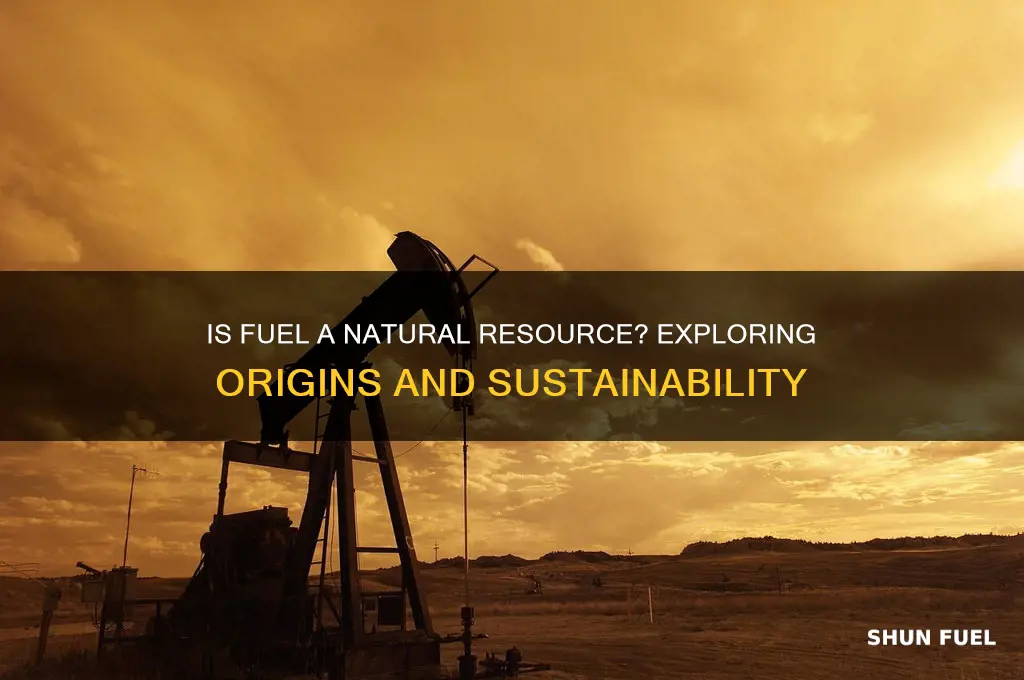 is fuel a natural resource