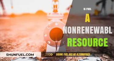 Is Fuel Nonrenewable? Exploring the Finite Nature of Fossil Fuels