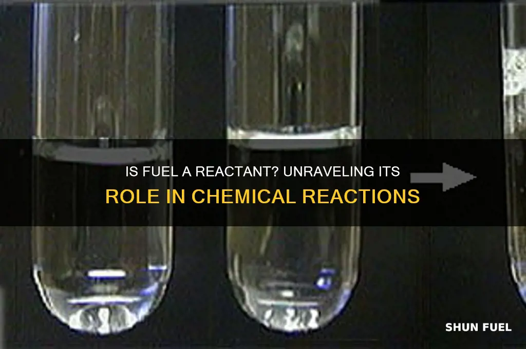 is fuel a reactant