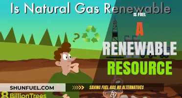 Is Fuel Renewable? Exploring the Sustainability of Energy Sources