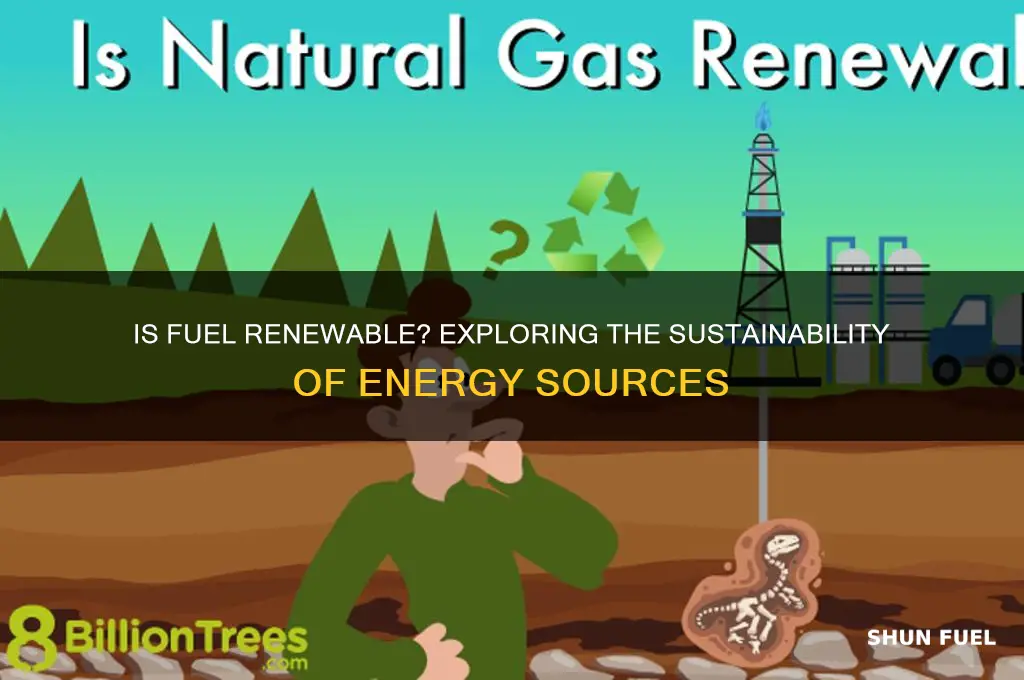 is fuel a renewable resource